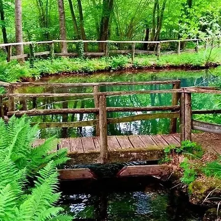 Appartement Forest - Ixihome