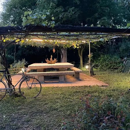 Forest - Ixihome *